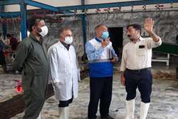 بازدید مشترک کارشناسان دامپزشکی و بهداشت از کشتارگاه دام شهرستان گناباد 